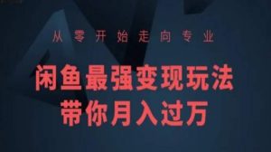 从零开始走向专业,闲鱼最强变现玩法带你月入过万-私藏资源社