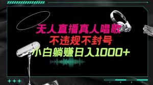 抖音24小时无人直播音乐,不违规,不封号纯撸音浪,小白实操当天日入1000+【揭秘】-私藏资源社