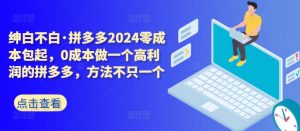 拼多多2024零成本包起,0成本做一个高利润的拼多多,方法不只一个-私藏资源社