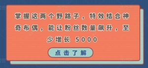 掌握这两个野路子,特效结合神奇布偶,能让粉丝数量飙升,至少增长 5000【揭秘】-私藏资源社