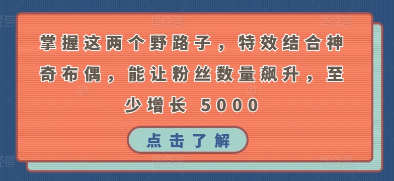 掌握这两个野路子，特效结合神奇布偶，能让粉丝数量飙升，至少增长 5000【揭秘】-私藏资源社