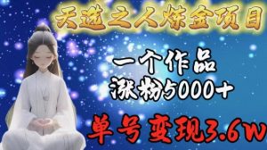 天选之人炼金项目,一个作品涨粉5000+,单号变现3.6w【揭秘】-私藏资源社