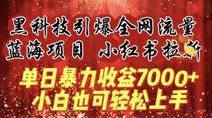 蓝海项目!黑科技引爆全网流量小红书拉新,单日暴力收益7000+,小白也能轻松上手【揭秘】-私藏资源社