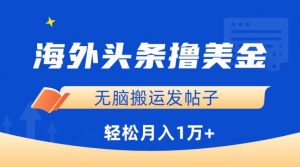 海外头条撸美金,无脑搬运发帖子,月入1万+,小白轻松掌握【揭秘】-私藏资源社