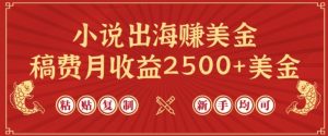 小说出海赚美金,稿费月收益2500+美金,仅需chatgpt粘贴复制,新手也能玩转【揭秘】-私藏资源社