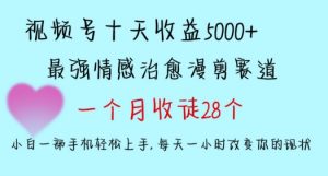 十天收益5000+,多平台捞金,视频号情感治愈漫剪,一个月收徒28个,小白一部手机轻松上手【揭秘】-私藏资源社