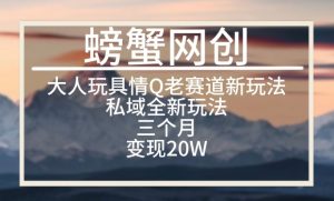大人玩具情Q用品赛道私域全新玩法,三个月变现20W,老项目新思路【揭秘】-私藏资源社