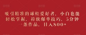 吸引精准的球鞋爱好者,小白也能轻松掌握,持续爆单技巧,5分钟一条作品,日入800+【揭秘】-私藏资源社