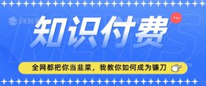 2024最新知识付费项目,小白也能轻松入局,全网都在教你做项目,我教你做镰刀【揭秘】-私藏资源社