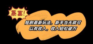 短剧最新玩法,新手当天就可以有收入,收入轻松破万【揭秘】-私藏资源社