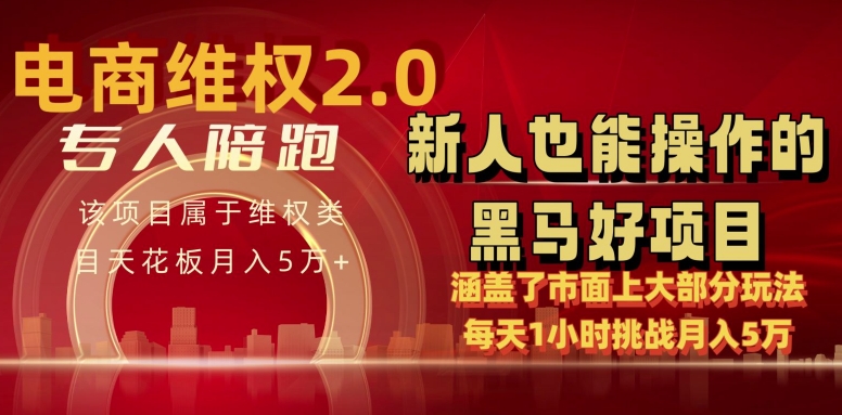 电商维权 4.0 如何做到月入 5 万+每天 1 小时新人也能快速上手【仅揭秘】-私藏资源社