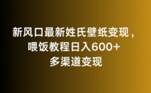 新风口最新姓氏壁纸变现,喂饭教程日入600+【揭秘】-私藏资源社