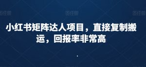 小红书矩阵达人项目,直接复制搬运,回报率非常高-私藏资源社