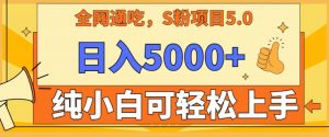 男粉项目5.0,最新野路子,纯小白可操作,有手就行,无脑照抄,纯保姆教学【揭秘】-私藏资源社