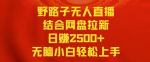 野路子无人直播结合网盘拉新,日赚2500+,小白无脑轻松上手【揭秘】-私藏资源社