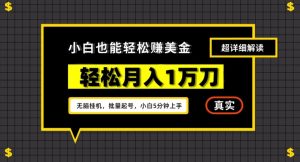 谷歌看广告撸美金2.0,无脑挂机,多号操作,月入1万刀【揭秘】-私藏资源社
