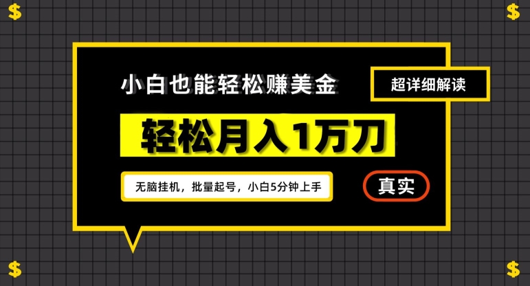 谷歌看广告撸美金2.0，无脑挂机，多号操作，月入1万刀【揭秘】-私藏资源社