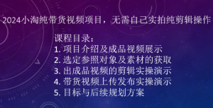 2024小淘纯带货视频项目,无需自己实拍纯剪辑操作-私藏资源社
