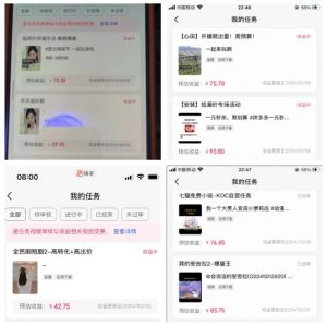 2024年3月最新,快手磁力聚星全流程实操教学,8台手机日均收益稳定100~200元【揭秘】-私藏资源社