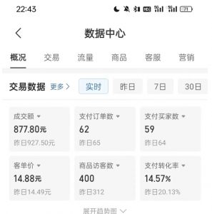 拼多多虚拟U盘电商红利项目:月赚2万+,新手小白也能玩-私藏资源社