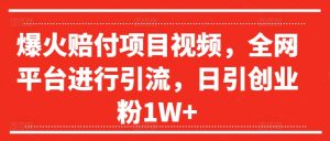 爆火赔付项目视频,全网平台进行引流,日引创业粉1W+【揭秘】-私藏资源社