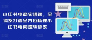 小红书电商实操课,全体系打造全方位梳理小红书电商逻辑体系-私藏资源社