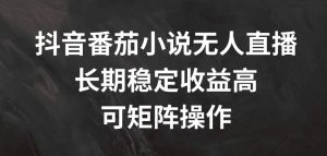 抖音番茄小说无人直播,长期稳定收益高,可矩阵操作【揭秘】-私藏资源社