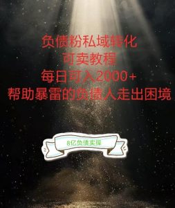 负债粉掘金计划,帮助负债者解决问题,债务规划,债务重组,最好的变现方式【揭秘】-私藏资源社