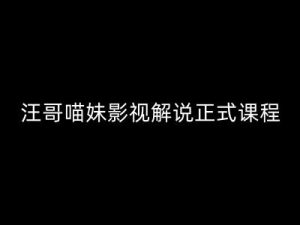 汪哥影视解说正式课程:剪映/PR教学/视解说剪辑5大黄金法则/全流程剪辑7把利器等等-私藏资源社