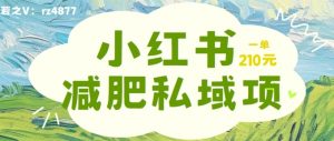 小红书减肥粉,私域变现项目,一单就达210元,小白也能轻松上手【揭秘】-私藏资源社