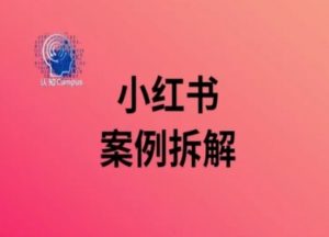 小红书案例拆解,深度解读小红书40万粉-私藏资源社