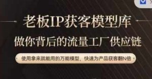 老板IP流量供应链,动作越少,账号越好,使用拿来就能用的万能模型,快速为产品获客翻N倍-私藏资源社