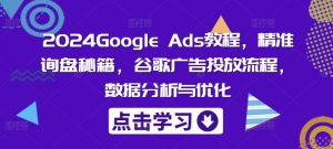 2024Google Ads教程,精准询盘秘籍,谷歌广告投放流程,数据分析与优化-私藏资源社