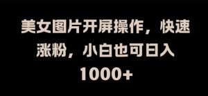 美女图片开屏操作,快速涨粉,小白也可日入1k【揭秘】-私藏资源社
