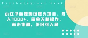 小红书心理测试爆火项目,月入7000+,简单无脑操作,尚未饱和,依旧可入局-私藏资源社