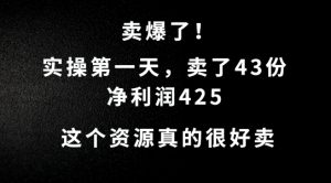这个资源,需求很大,实操第一天卖了43份,净利润425【揭秘】-私藏资源社