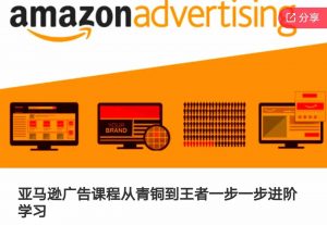 亚马逊广告课程,从青铜到王者一步一步进阶学习-私藏资源社