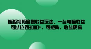 搜狐视频自撸收益玩法,一台电脑收益可以达到3k+,可矩阵,收益更高【揭秘】-私藏资源社