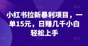 小红书拉新暴利项目,一单15元,日赚几千小白轻松上手【揭秘】-私藏资源社