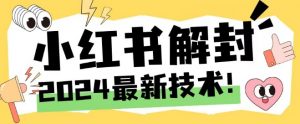 2024最新小红书账号封禁解封方法,无限释放手机号【揭秘】-私藏资源社