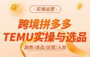 跨境拼多多TEMU实操与选品,多多temu跨境选品运营实操-私藏资源社
