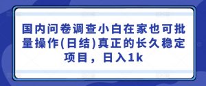 国内问卷调查小白在家也可批量操作(日结)真正的长久稳定项目,日入1k【揭秘】-私藏资源社
