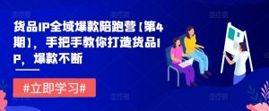 货品IP全域爆款陪跑营【第4期】,手把手教你打造货品IP,爆款不断-私藏资源社