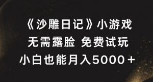 《沙雕日记》小游戏,无需露脸免费试玩,小白也能月入5000+【揭秘】-私藏资源社