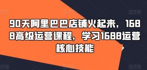 90天阿里巴巴店铺火起来,1688高级运营课程,学习1688运营核心技能-私藏资源社