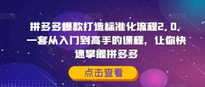 拼多多爆款打造标准化流程2.0,一套从入门到高手的课程,让你快速掌握拼多多-私藏资源社