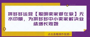 拼多多运营【聪明卖家都在做】无水印版,为拼多多中小卖家解决业绩增长难题-私藏资源社