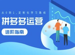 拼多多运营进阶指南,从0到1定制化学习路线-私藏资源社