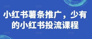 小红书薯条推广,少有的小红书投流课程-私藏资源社