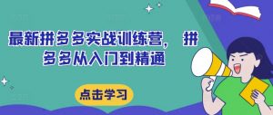 最新拼多多实战训练营, 拼多多从入门到精通-私藏资源社